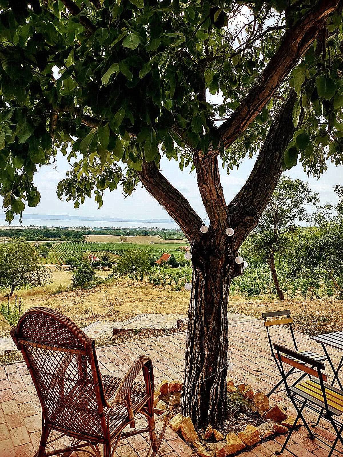 Tagyon – panorámás présház