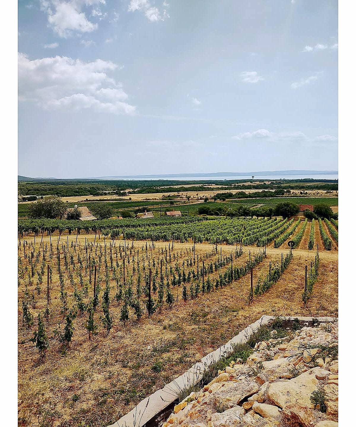 Tagyon – kemence és étkező